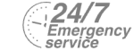 24/7 Emergency Service Pest Control in Highgate, N6. Call Now! 020 8166 9746