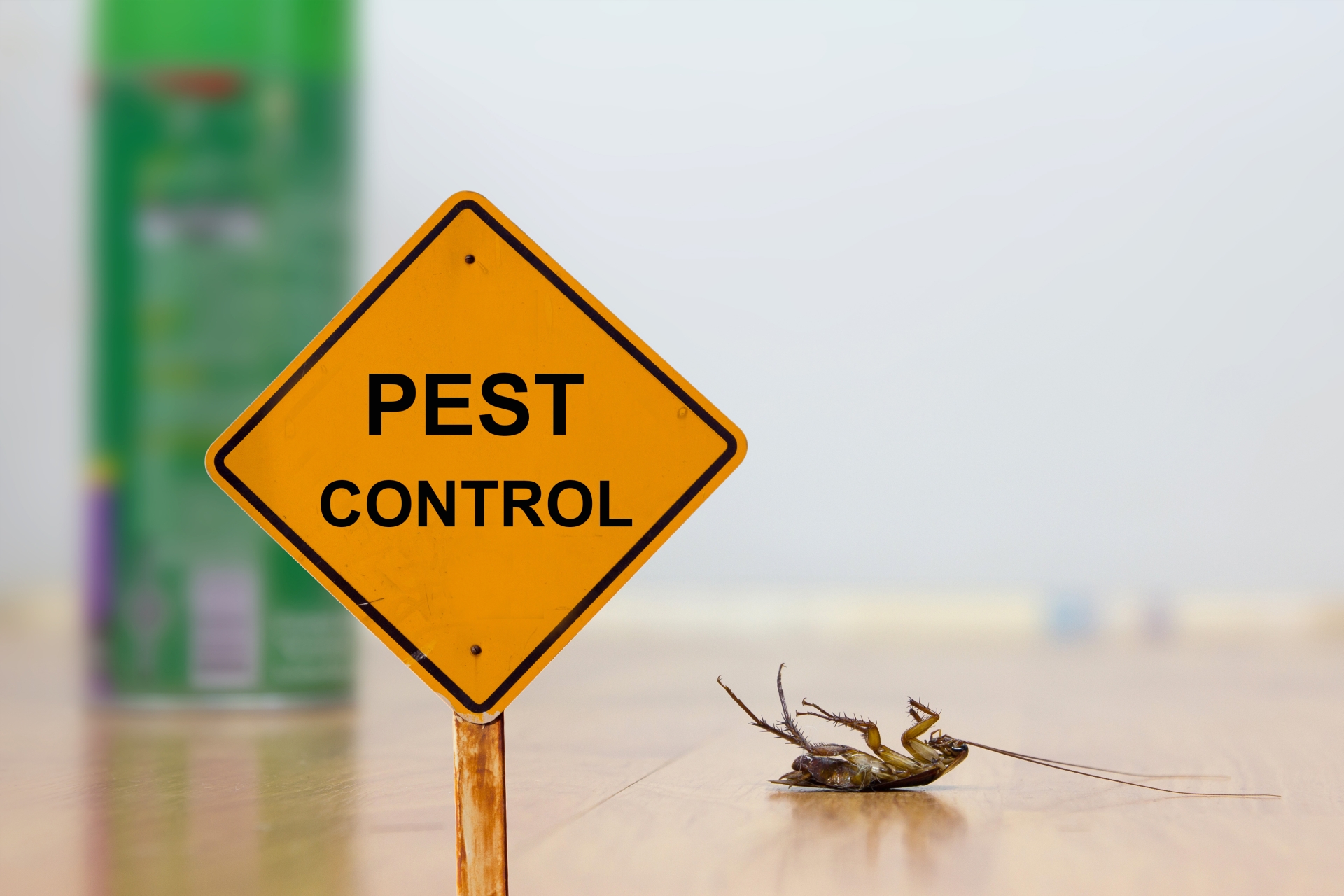 24 Hour Pest Control, Pest Control in Highgate, N6. Call Now 020 8166 9746